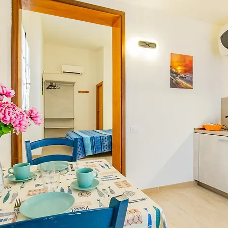 Bouganville * Palazzo (Livorno)