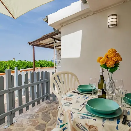Bouganville Apartmán Palazzo (Livorno)