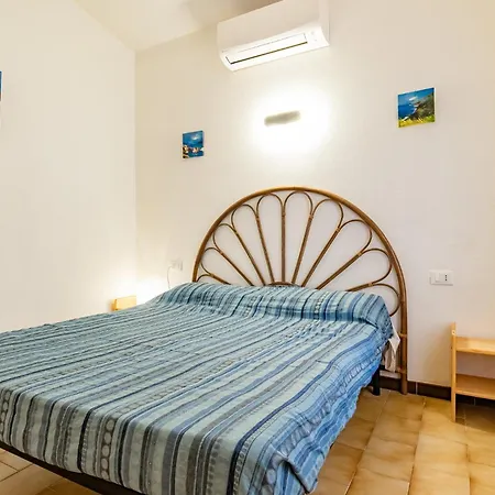 Bouganville * Palazzo (Livorno)