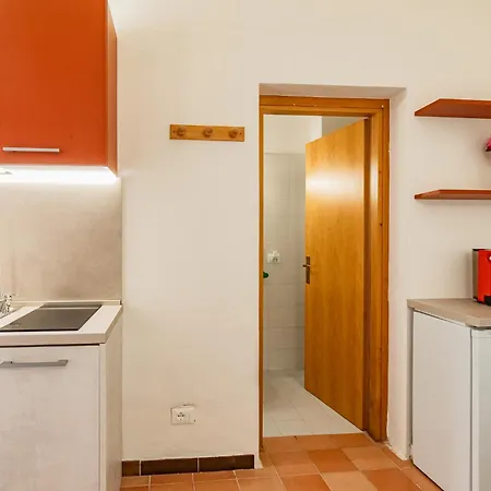 Bouganville * Palazzo (Livorno)